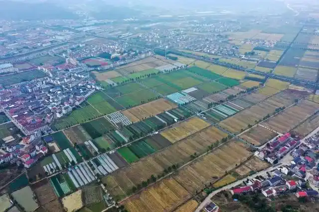 11地入选！2020年度浙江省新时代美丽乡村示范县，有你家乡吗？