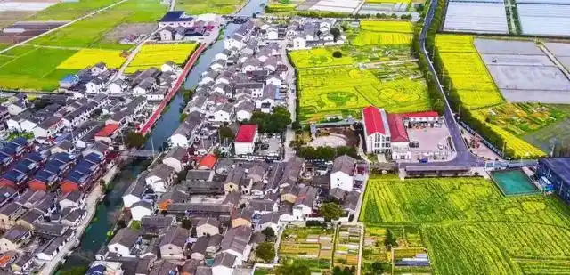 11地入选！2020年度浙江省新时代美丽乡村示范县，有你家乡吗？