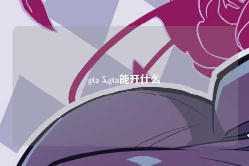 gta 5,gta能开什么