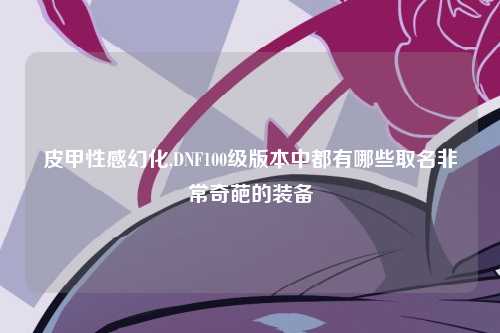皮甲性感幻化,DNF100级版本中都有哪些取名非常奇葩的装备