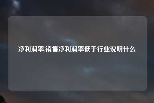 净利润率,销售净利润率低于行业说明什么
