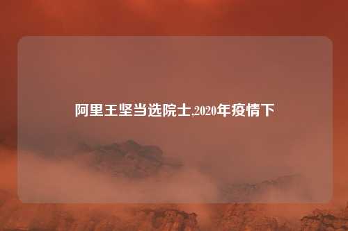 阿里王坚当选院士,2020年疫情下