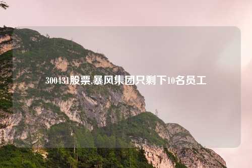 300431股票,暴风集团只剩下10名员工