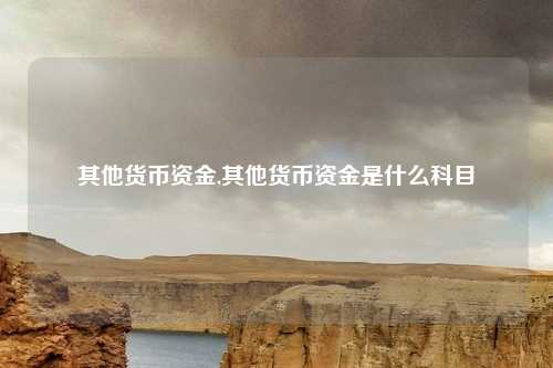 其他货币资金,其他货币资金是什么科目