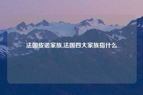 法国皮诺家族,法国四大家族指什么