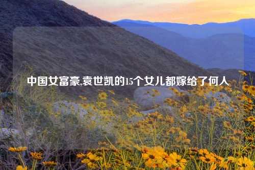 中国女富豪,袁世凯的15个女儿都嫁给了何人
