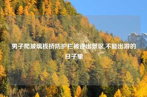 男子爬玻璃栈桥防护栏被逐出景区,不能出游的日子里