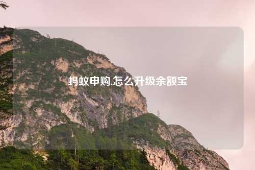 蚂蚁申购,怎么升级余额宝