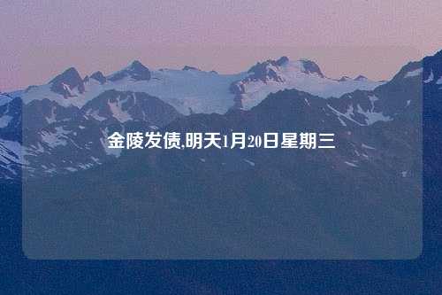 金陵发债,明天1月20日星期三