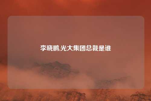 李晓鹏,光大集团总裁是谁