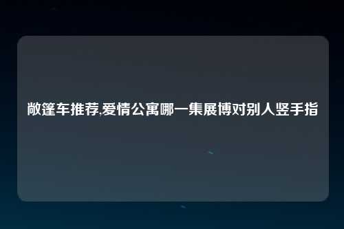 敞篷车推荐,爱情公寓哪一集展博对别人竖手指