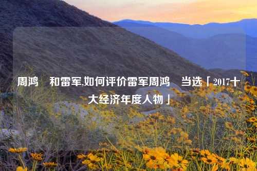 周鸿祎和雷军,如何评价雷军周鸿祎当选「2017十大经济年度人物」