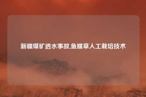新疆煤矿透水事故,鱼腥草人工栽培技术