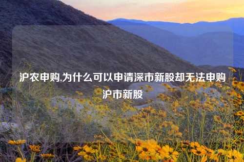 沪农申购,为什么可以申请深市新股却无法申购沪市新股