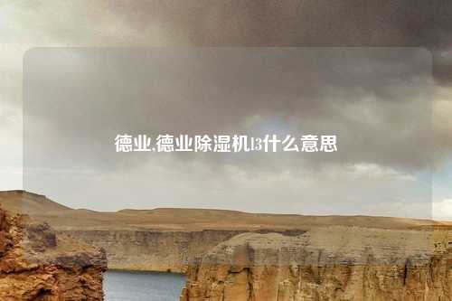 德业,德业除湿机l3什么意思