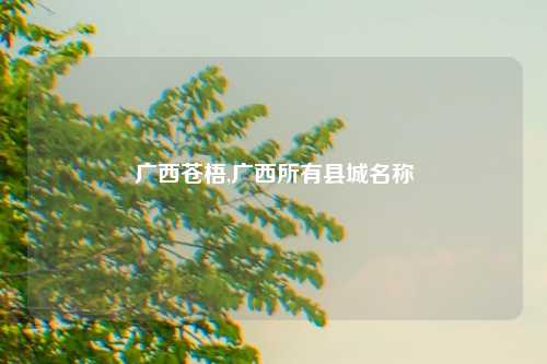 广西苍梧,广西所有县城名称
