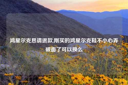 鸿星尔克恳请退款,刚买的鸿星尔克鞋不小心弄破面了可以换么