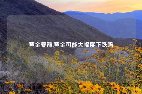 黄金暴涨,黄金可能大幅度下跌吗