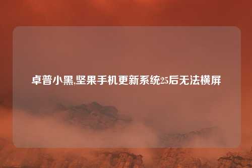 卓普小黑,坚果手机更新系统25后无法横屏