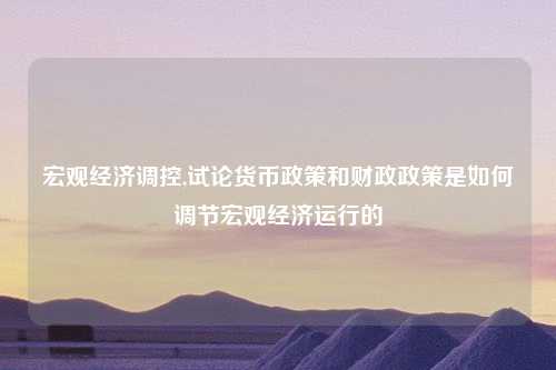宏观经济调控,试论货币政策和财政政策是如何调节宏观经济运行的