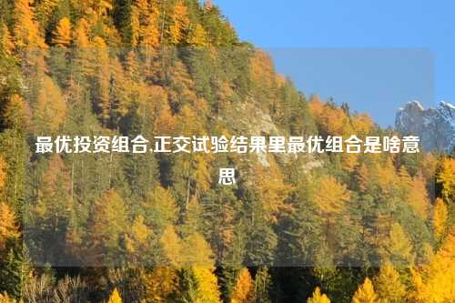 最优投资组合,正交试验结果里最优组合是啥意思