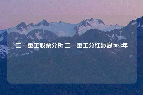 三一重工股票分析,三一重工分红派息2023年