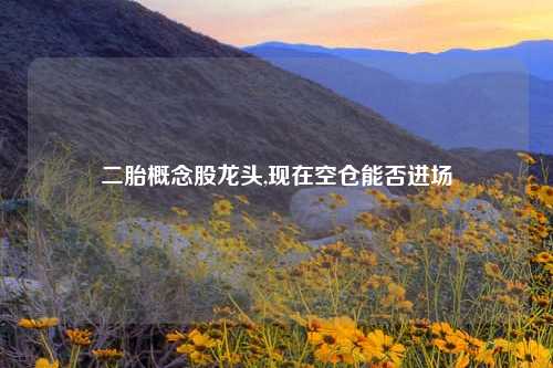 二胎概念股龙头,现在空仓能否进场