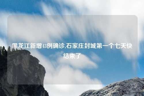 黑龙江新增43例确诊,石家庄封城第一个七天快结束了