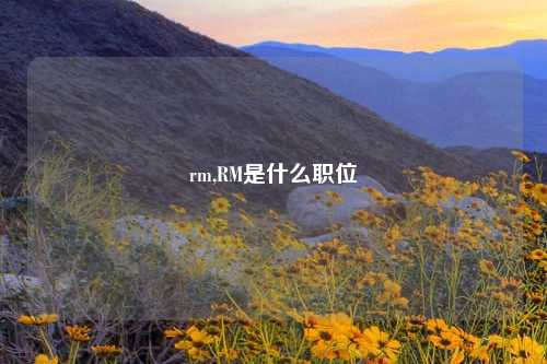 rm,RM是什么职位