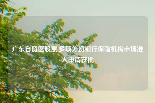 广东自贸区股票,多项外资银行保险机构市场准入申请获批