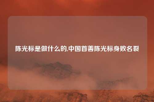 陈光标是做什么的,中国首善陈光标身败名裂