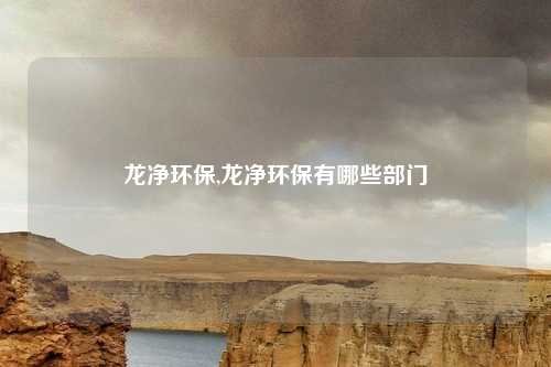 龙净环保,龙净环保有哪些部门
