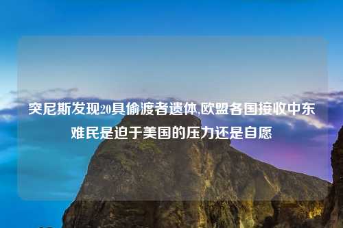 突尼斯发现20具偷渡者遗体,欧盟各国接收中东难民是迫于美国的压力还是自愿