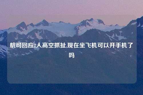 航司回应2人高空抓扯,现在坐飞机可以开手机了吗