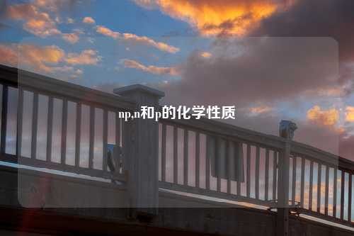 np,n和p的化学性质
