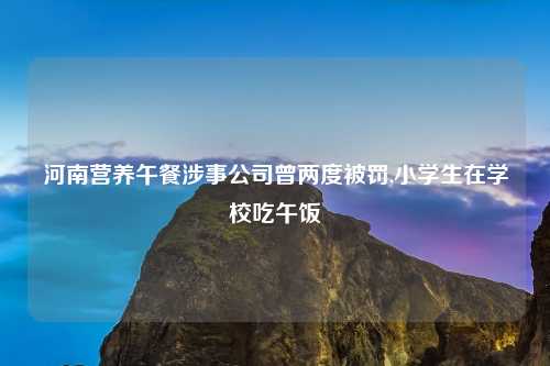 河南营养午餐涉事公司曾两度被罚,小学生在学校吃午饭