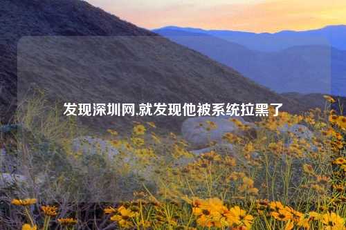 发现深圳网,就发现他被系统拉黑了