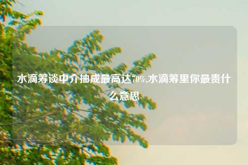 水滴筹谈中介抽成最高达70%,水滴筹里你最贵什么意思