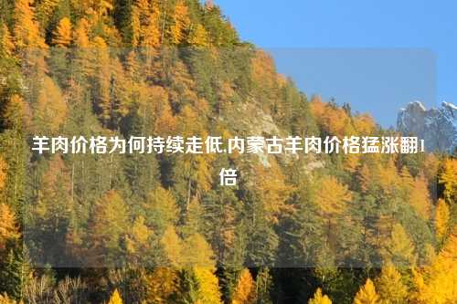 羊肉价格为何持续走低,内蒙古羊肉价格猛涨翻1倍