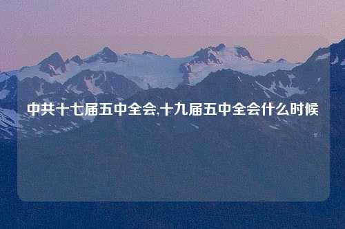 中共十七届五中全会,十九届五中全会什么时候