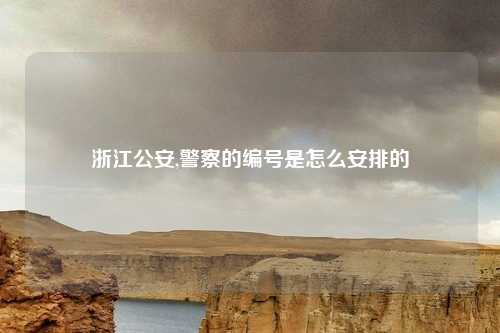 浙江公安,警察的编号是怎么安排的