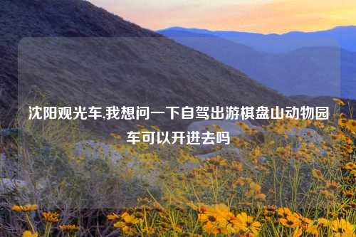 沈阳观光车,我想问一下自驾出游棋盘山动物园车可以开进去吗