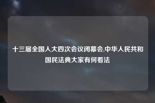 十三届全国人大四次会议闭幕会,中华人民共和国民法典大家有何看法