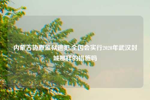 内蒙古协查监狱逃犯,全国会实行2020年武汉封城那样的措施吗