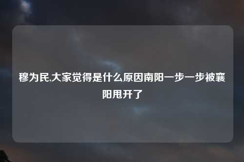 穆为民,大家觉得是什么原因南阳一步一步被襄阳甩开了