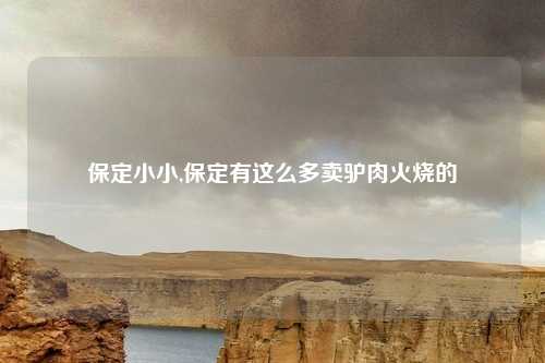 保定小小,保定有这么多卖驴肉火烧的
