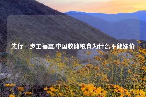 先行一步王福重,中国收储粮食为什么不能涨价