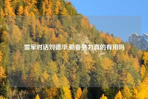 雷军对话刘德华,勤奋努力真的有用吗