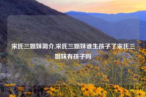 宋氏三姐妹简介,宋氏三姐妹谁生孩子了宋氏三姐妹有孩子吗