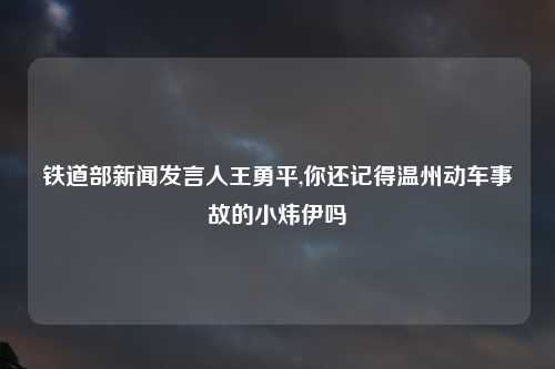 铁道部新闻发言人王勇平,你还记得温州动车事故的小炜伊吗